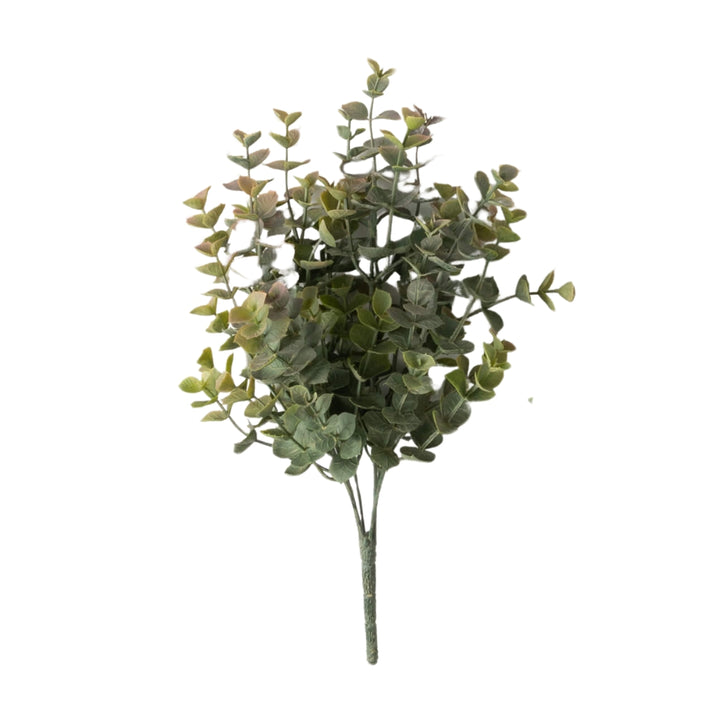 Two Tone Eucalyptus Bushes