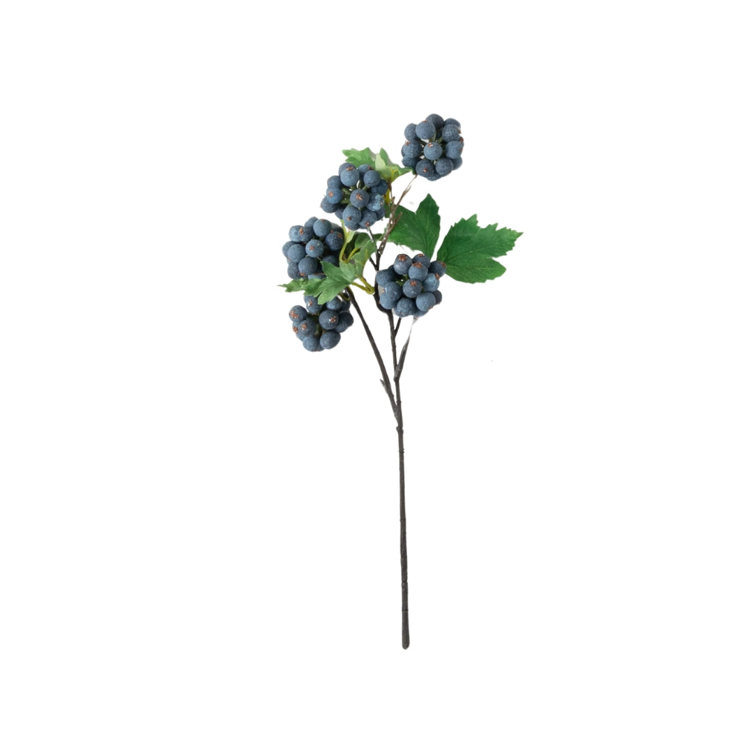 Spring Berry Bushes