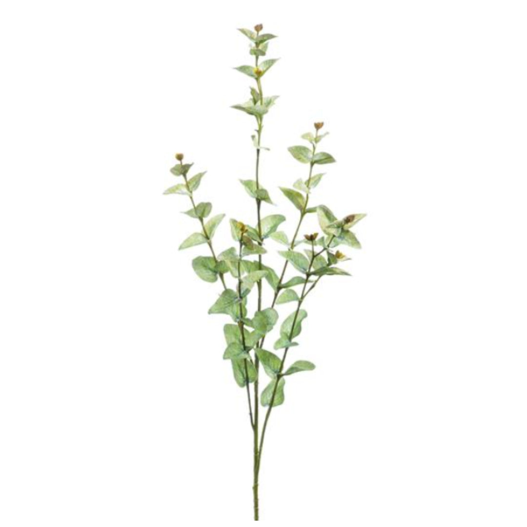 Sage Green Cider Gum Spray