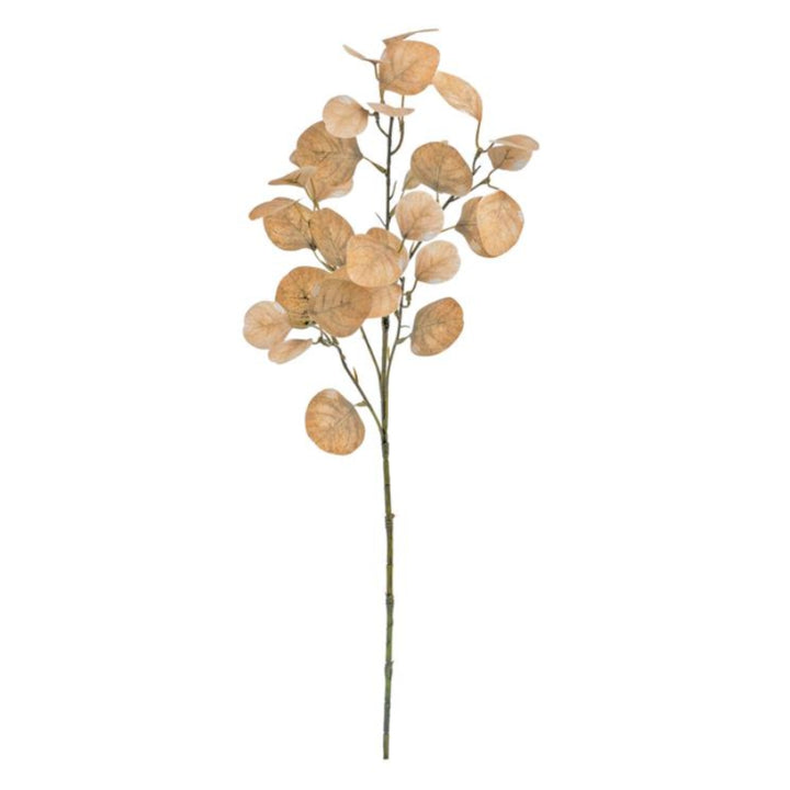 Beige Smoke Tree Leaf Spray