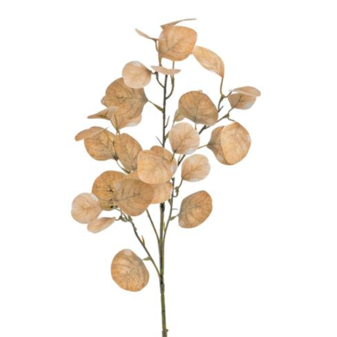 Beige Smoke Tree Leaf Spray