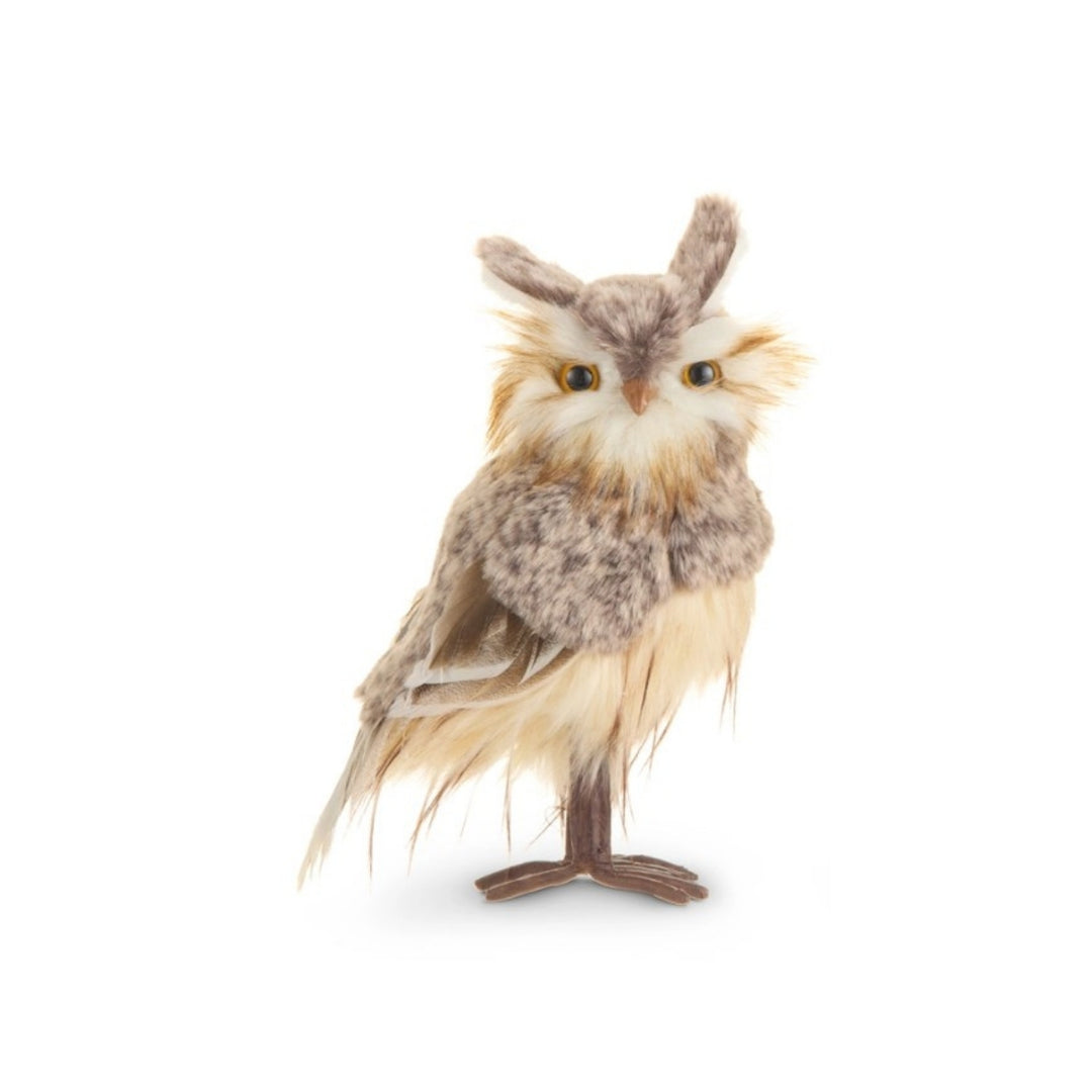 Brown Owls