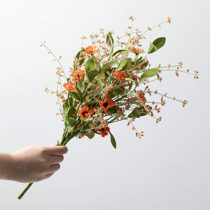 Orange Whispy Daisy Bush
