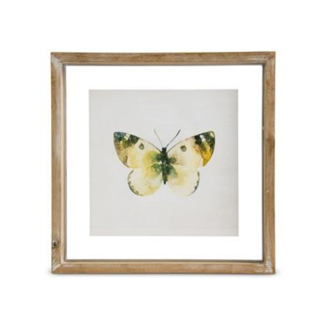 Whitewashed Shadowbox Framed Butterfly Prints