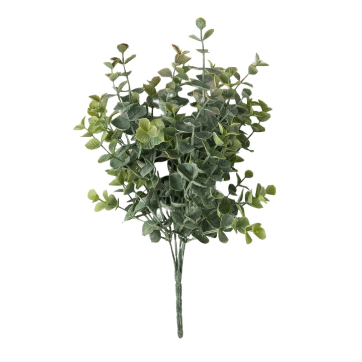 Two Tone Eucalyptus Bushes