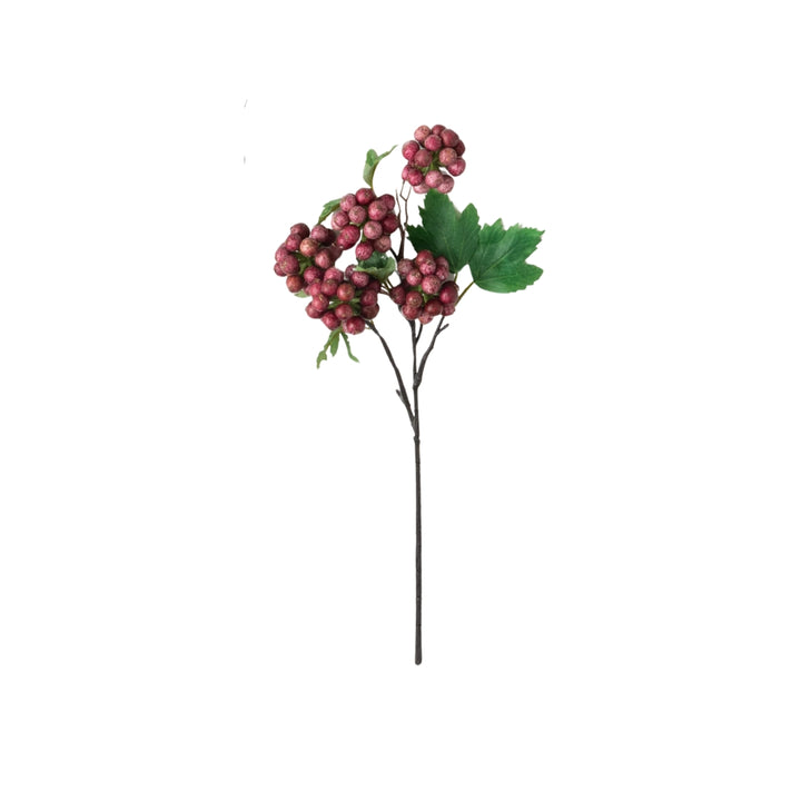 Spring Berry Bushes