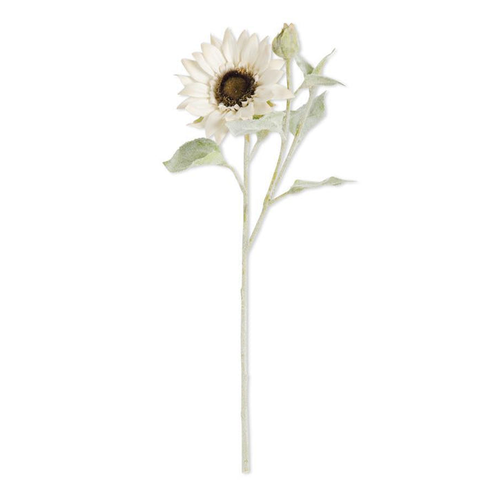 White Bloom & Blossom Sunflower With Flocked Stem