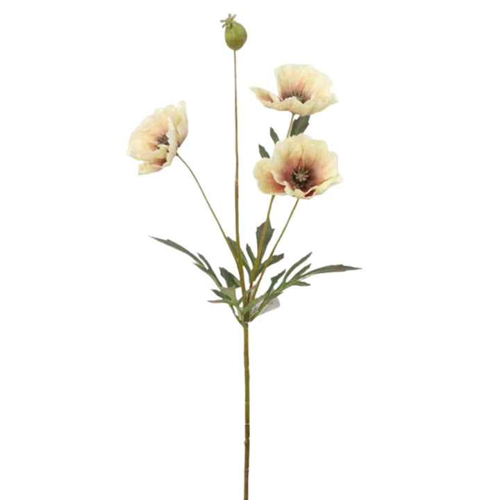 Cream Poppy Spray with Bud