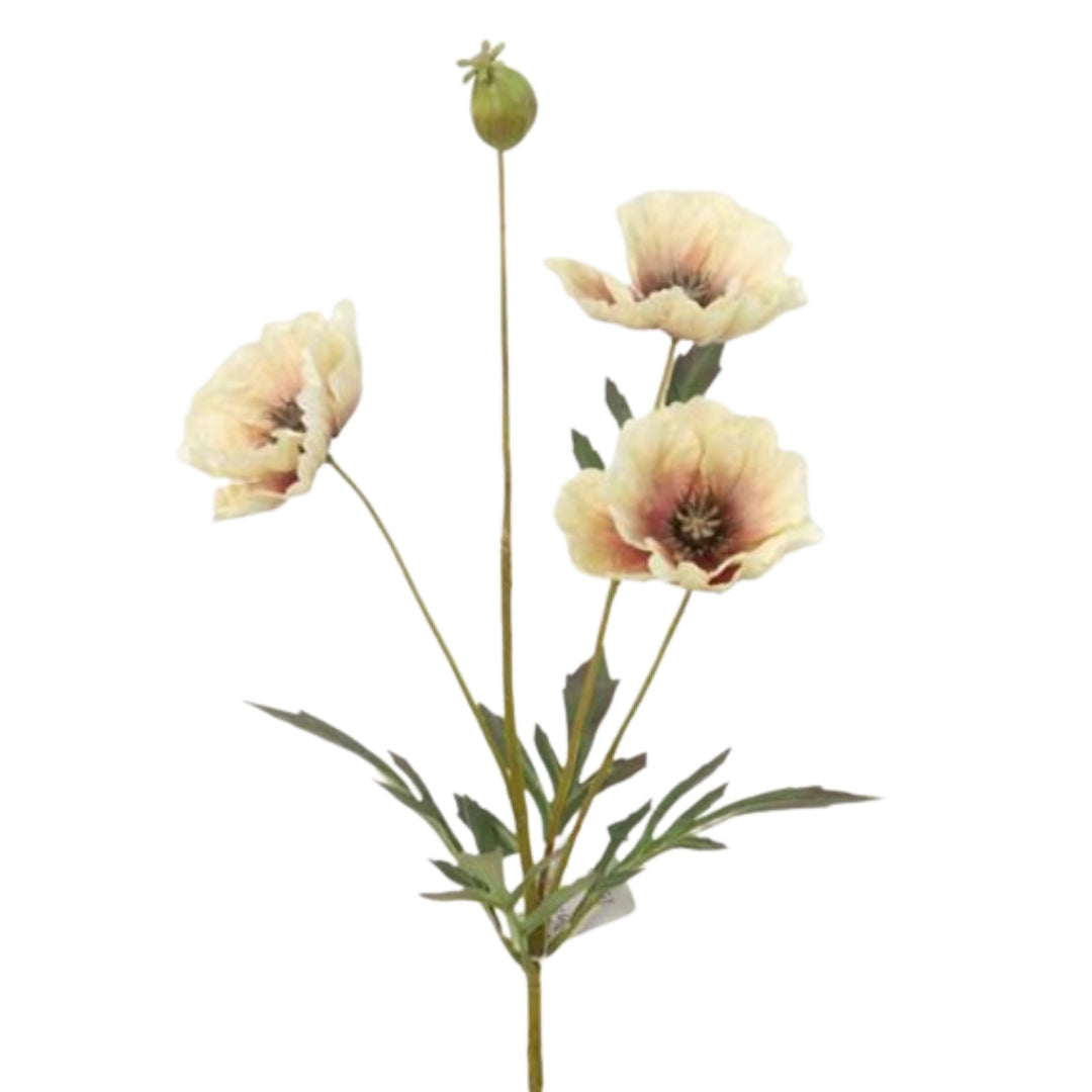 Cream Poppy Spray with Bud