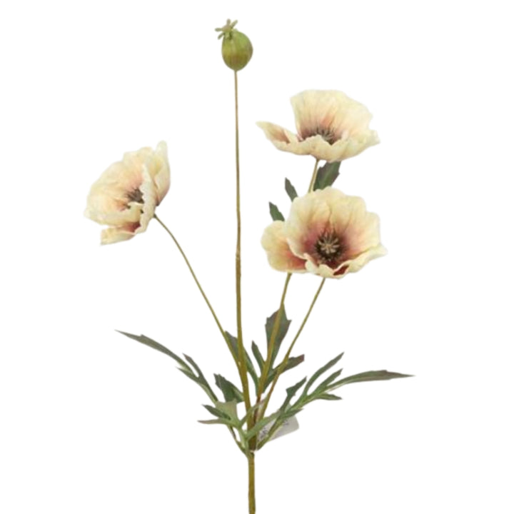 Cream Poppy Spray with Bud