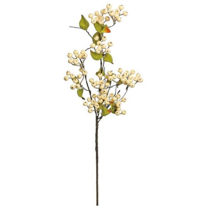 Hawthorn Berry Spray