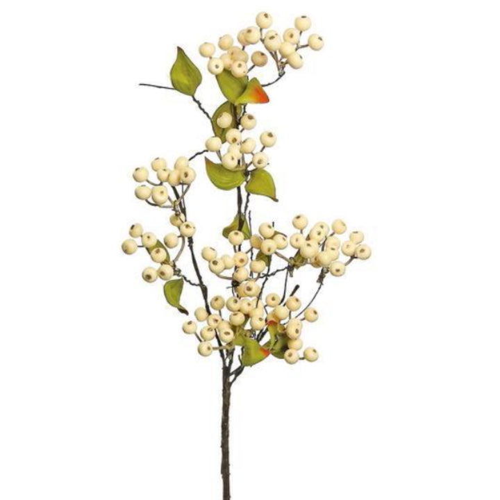 Hawthorn Berry Spray
