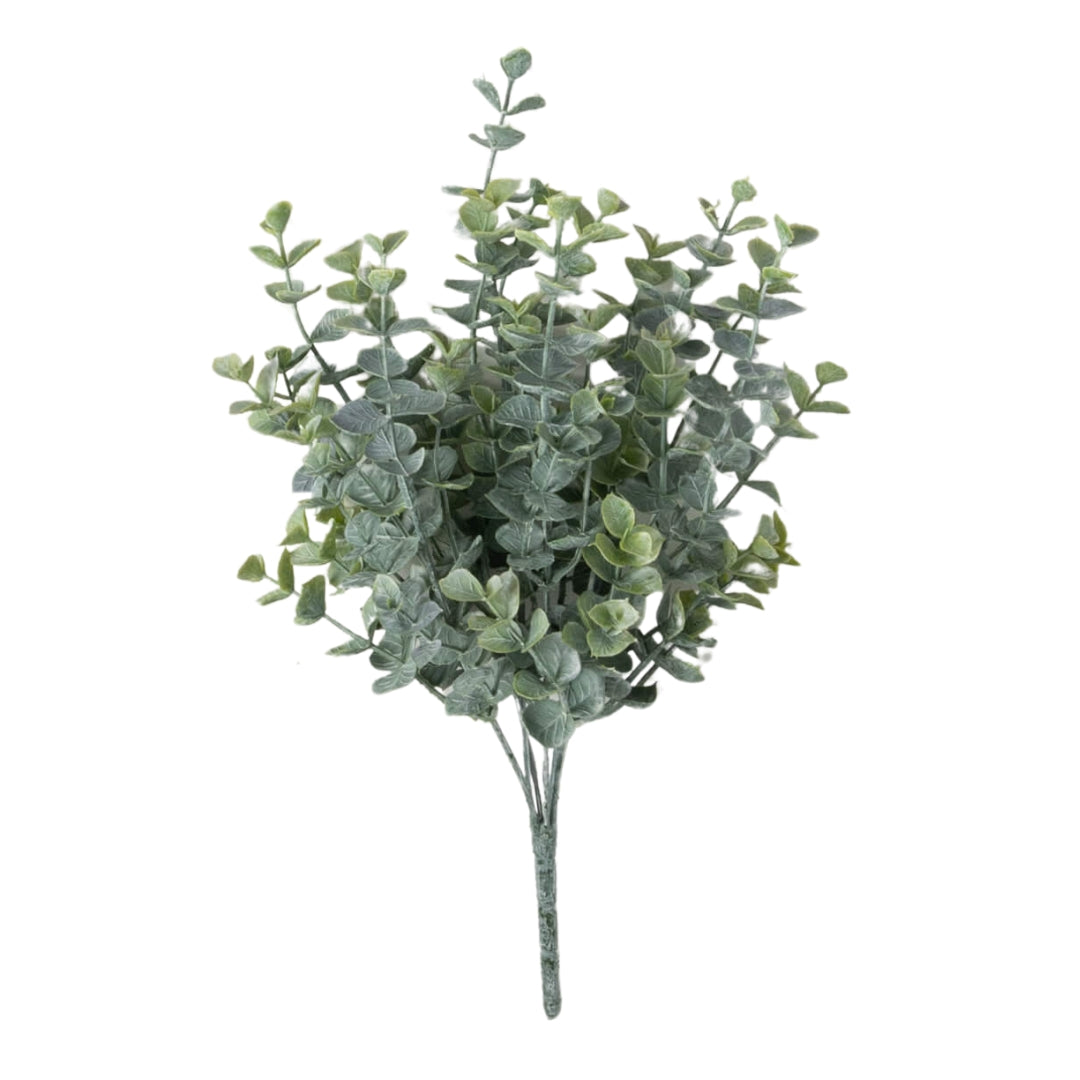 Two Tone Eucalyptus Bushes