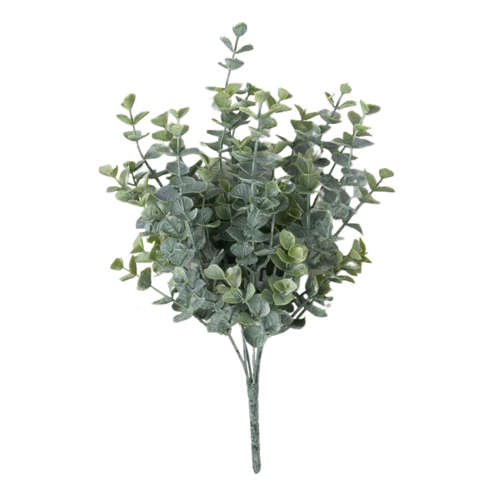 Two Tone Eucalyptus Bushes