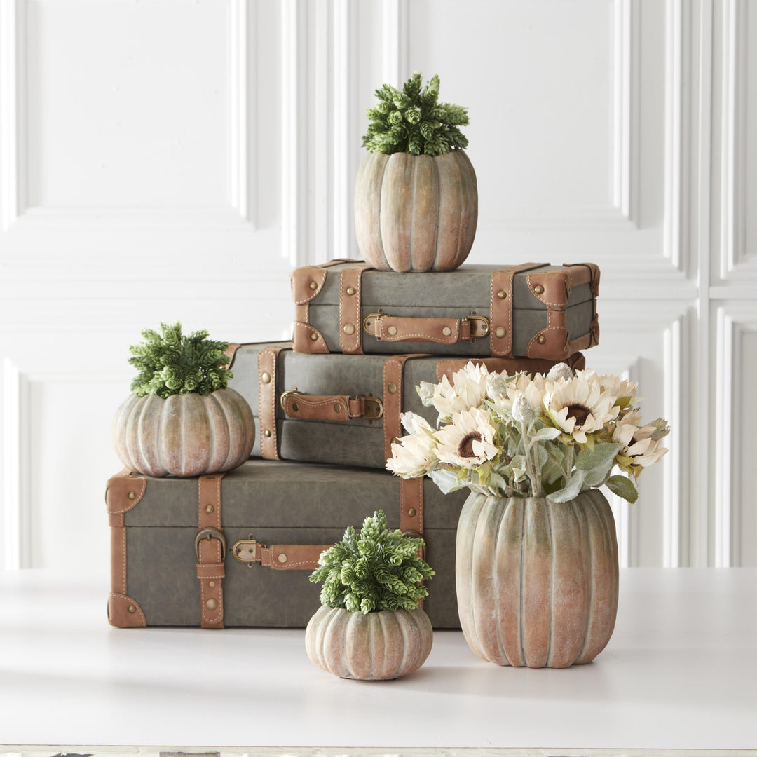 Tall Cement Pumpkin Pots
