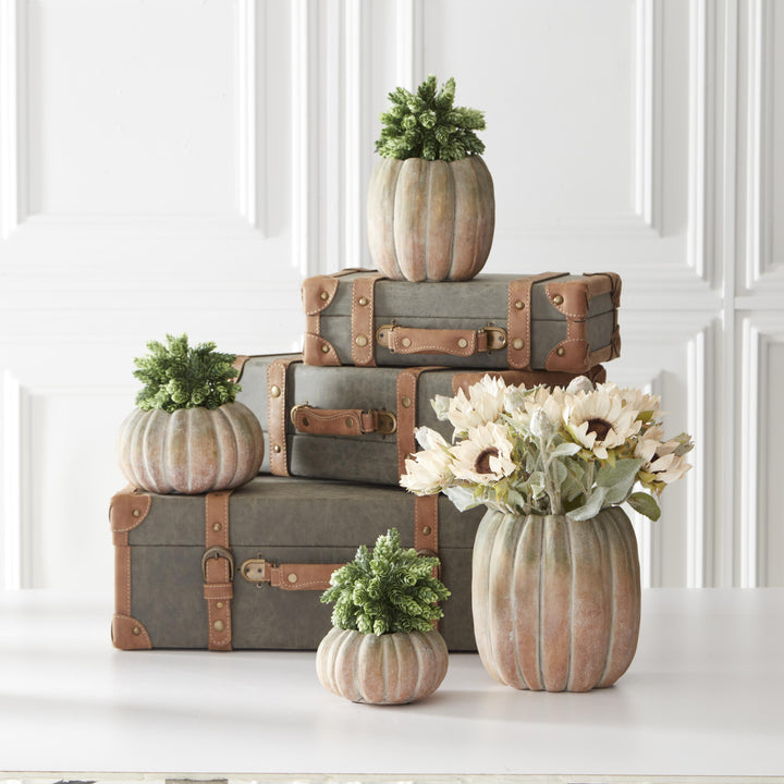 Tall Cement Pumpkin Pots