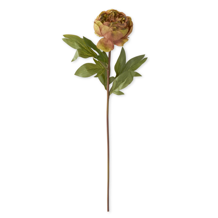 Faux Dried Peony Stems