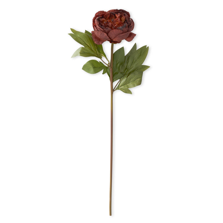 Faux Dried Peony Stems