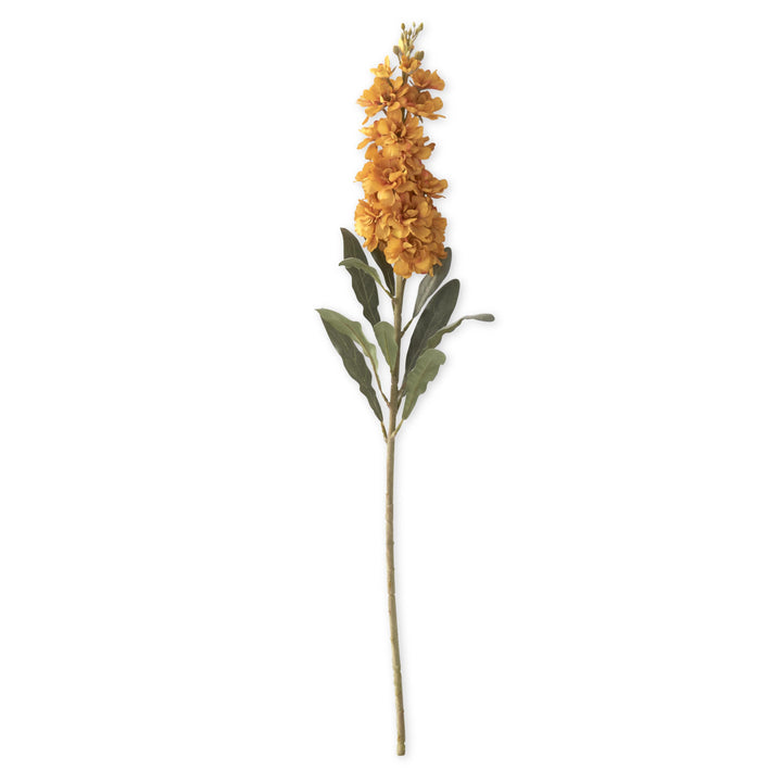 Fall Stock Stems