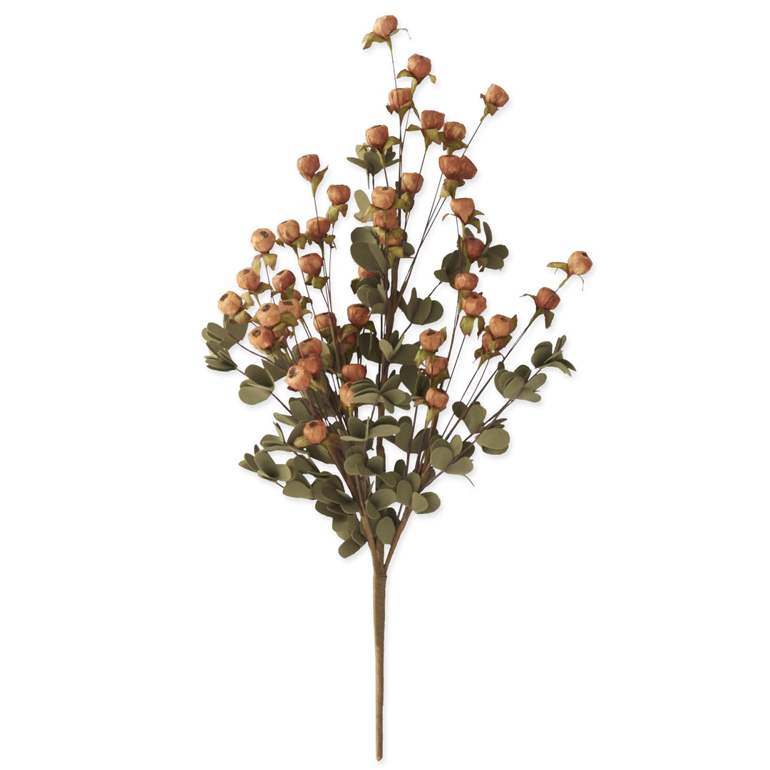 Orange Pod Bush