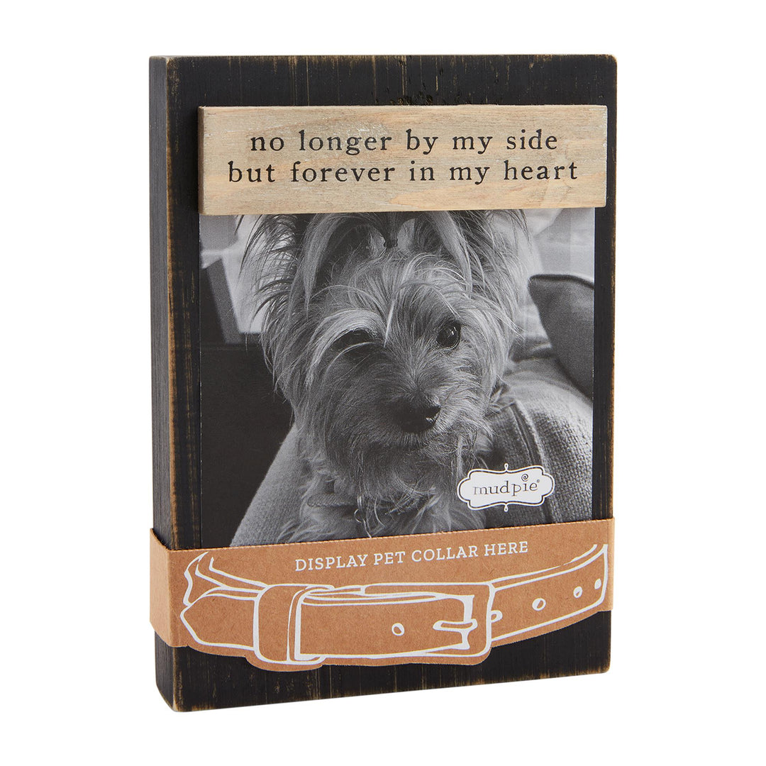 Dog Collar Keepsake Frames