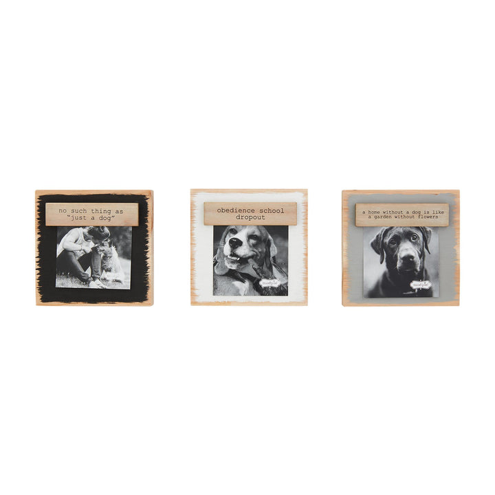 Pet Magnetic Block Frames