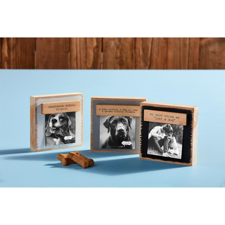 Pet Magnetic Block Frames