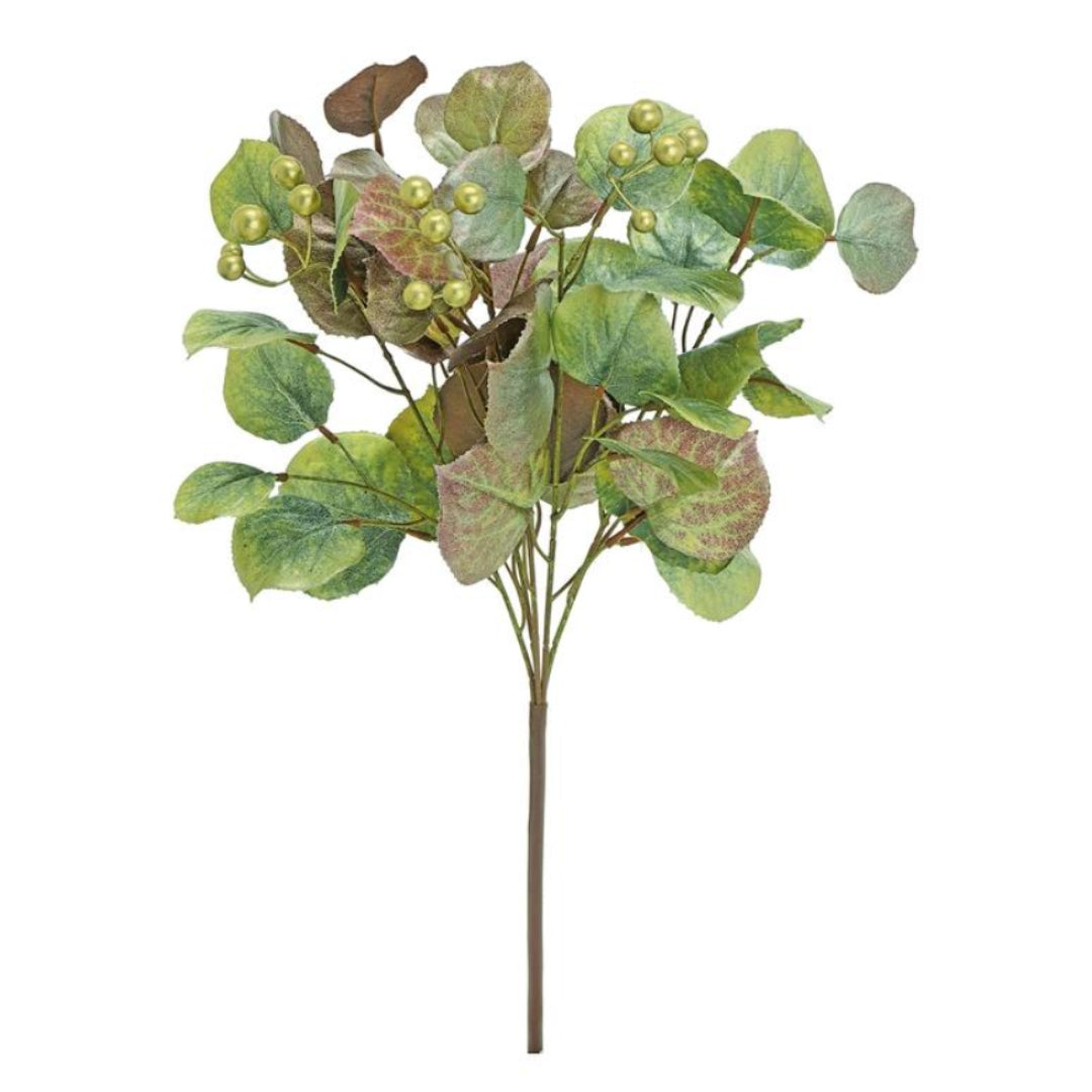 Holiday Eucalyptus Bush