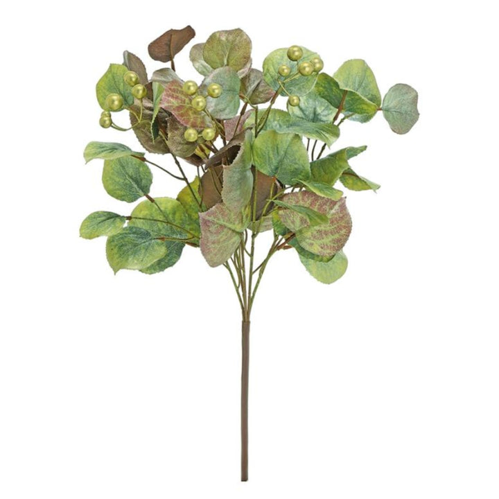 Holiday Eucalyptus Bush
