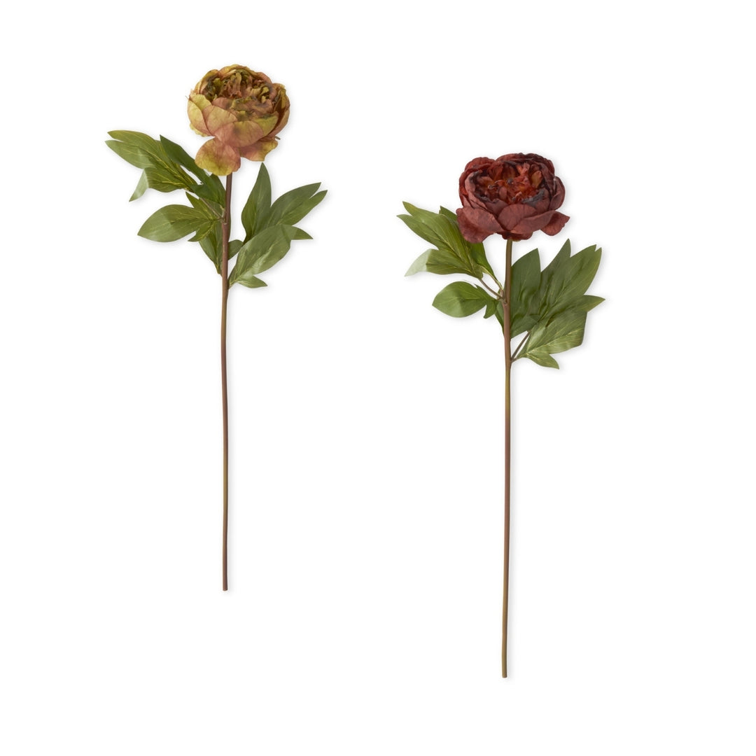Faux Dried Peony Stems