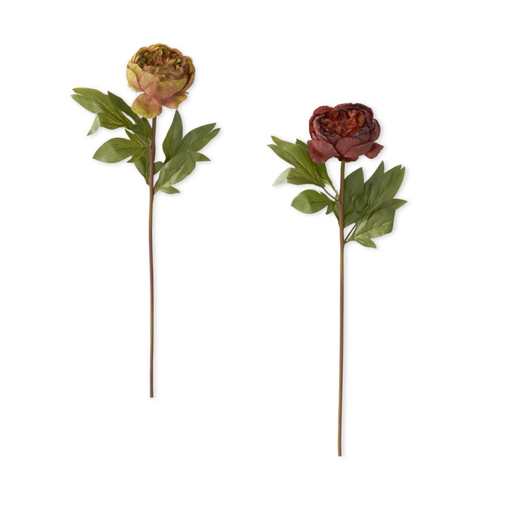 Faux Dried Peony Stems