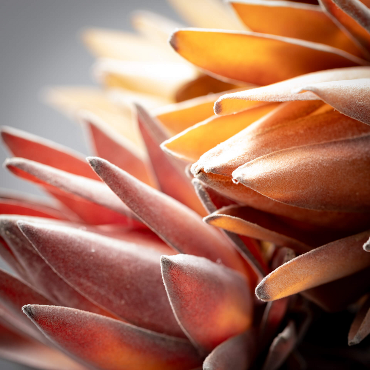 Fall Artichoke Sprays