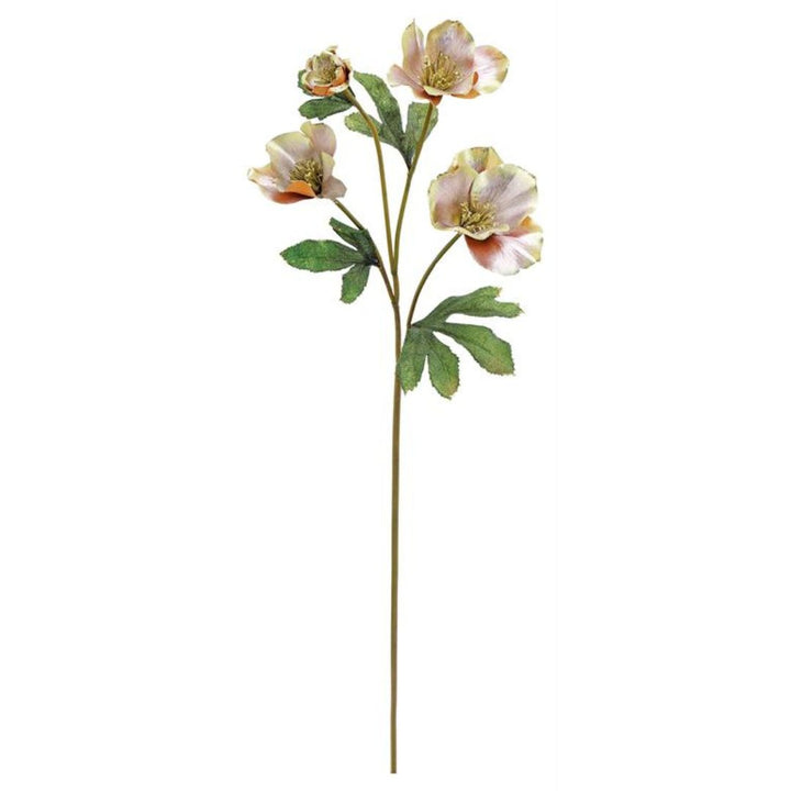 Christmas Rose Spray