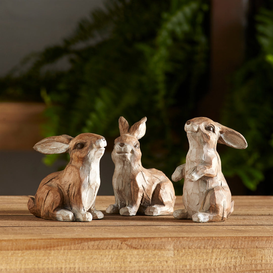 Brown Playful Rabbits