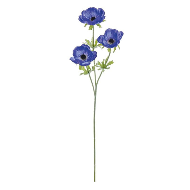 Blue Anemone Stem