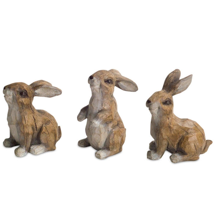 Brown Playful Rabbits