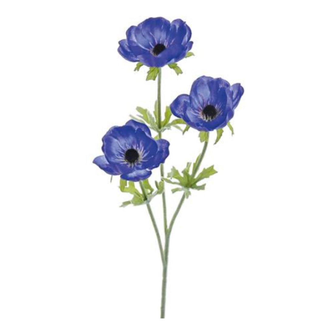 Blue Anemone Stem