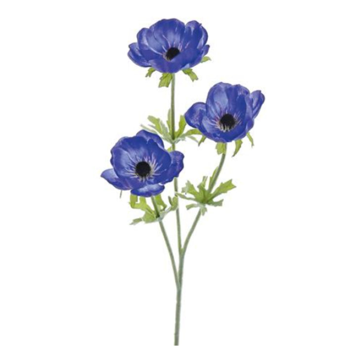 Blue Anemone Stem