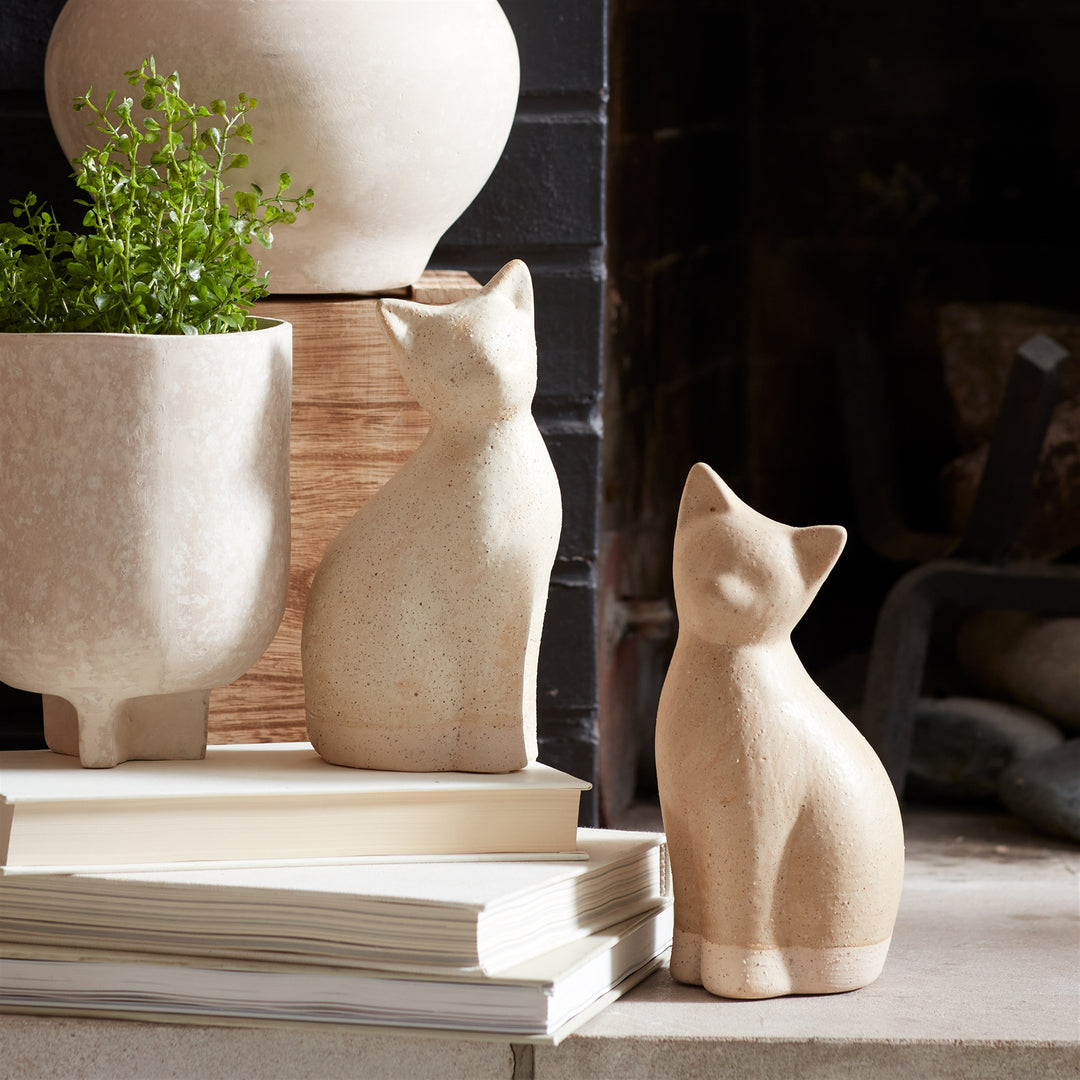 Cat Shelf Sitters