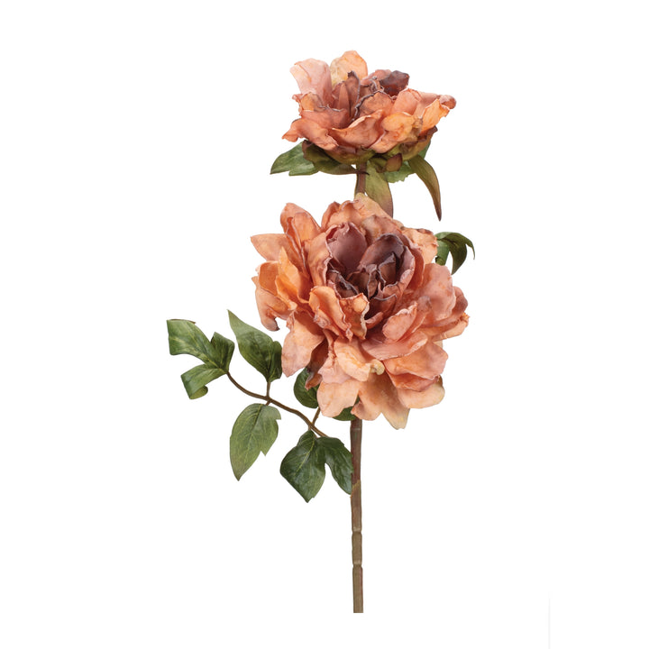 Delicate Peony Sprays