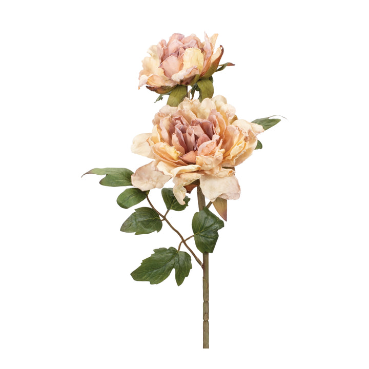 Delicate Peony Sprays