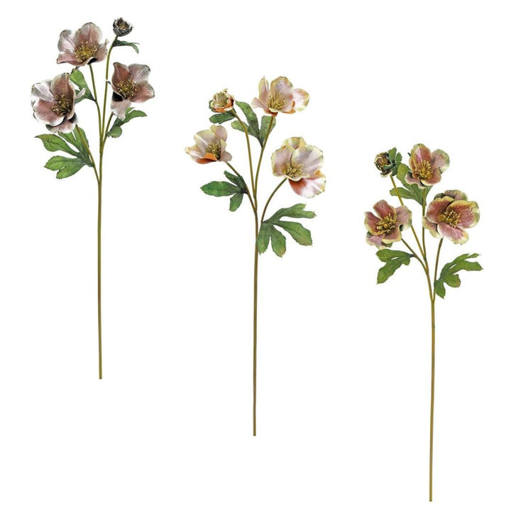 Christmas Rose Spray