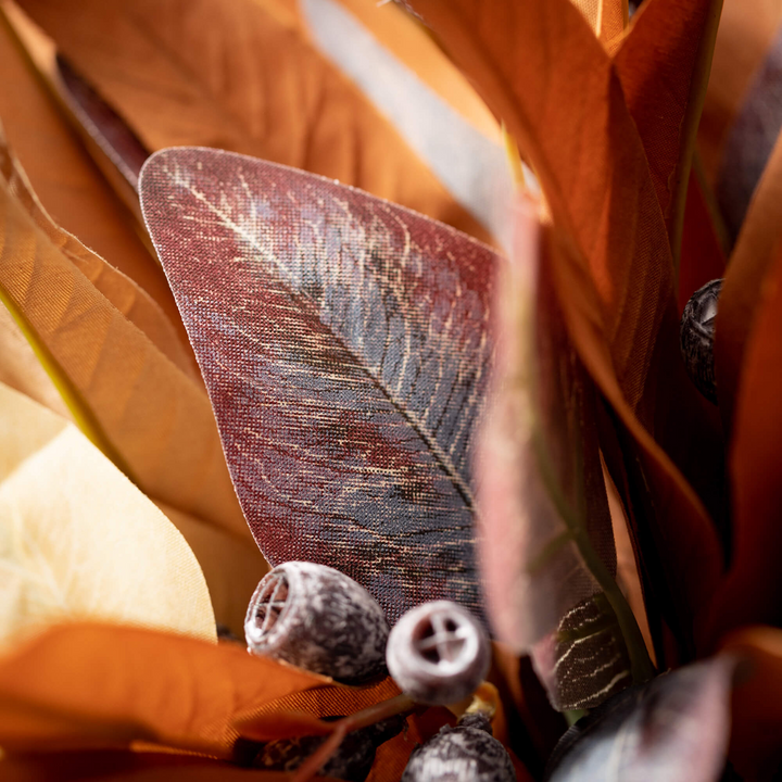 Blade Eucalyptus Bushes