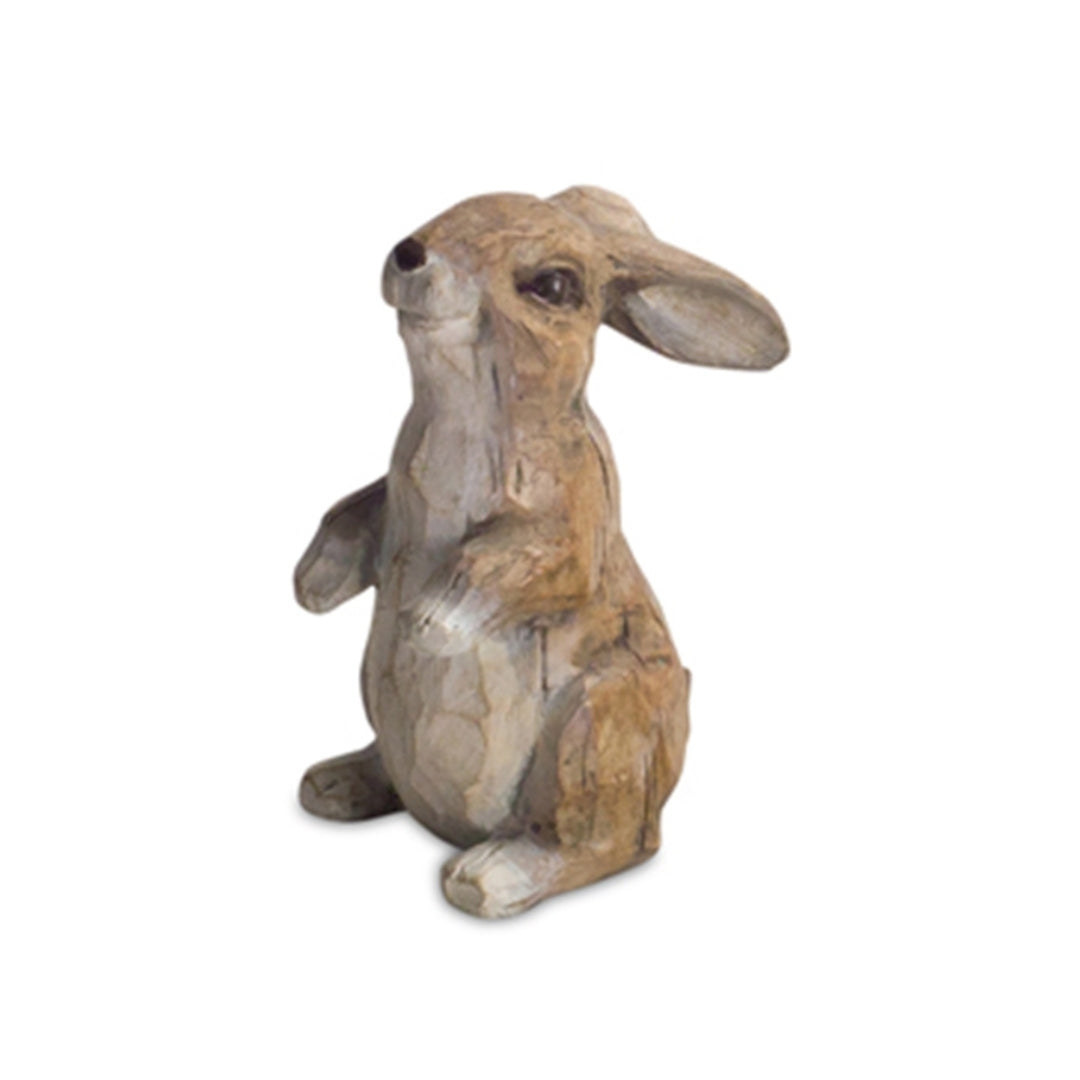 Brown Playful Rabbits