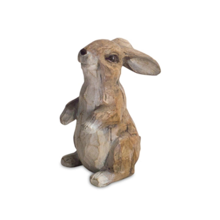 Brown Playful Rabbits