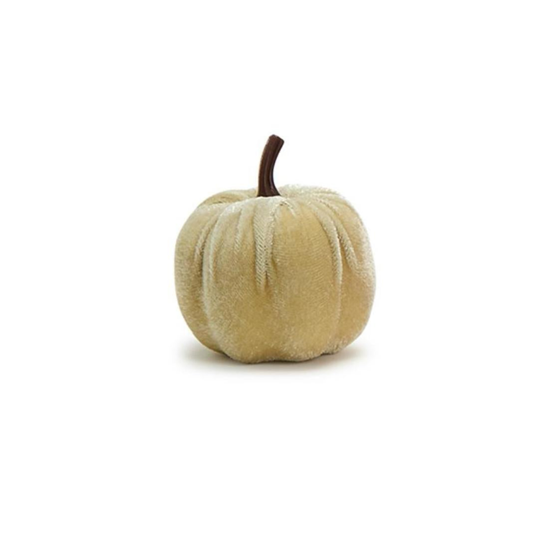 Multicolor Mini Velvet Pumpkins