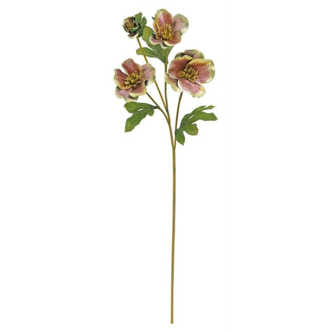 Christmas Rose Spray