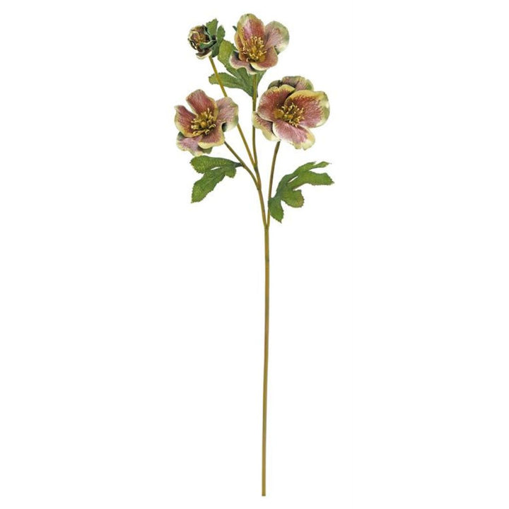 Christmas Rose Spray