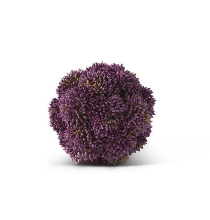 Sedum Ball