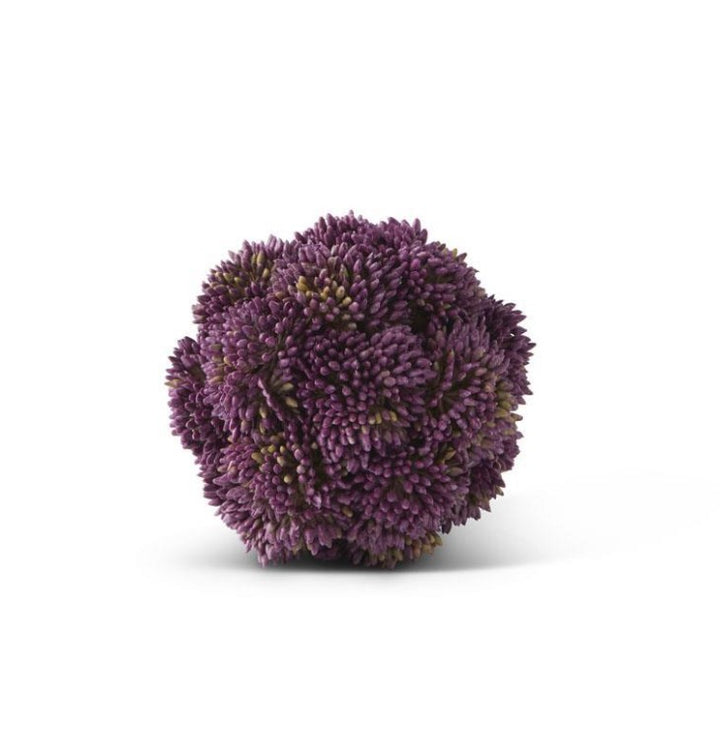 Sedum Ball